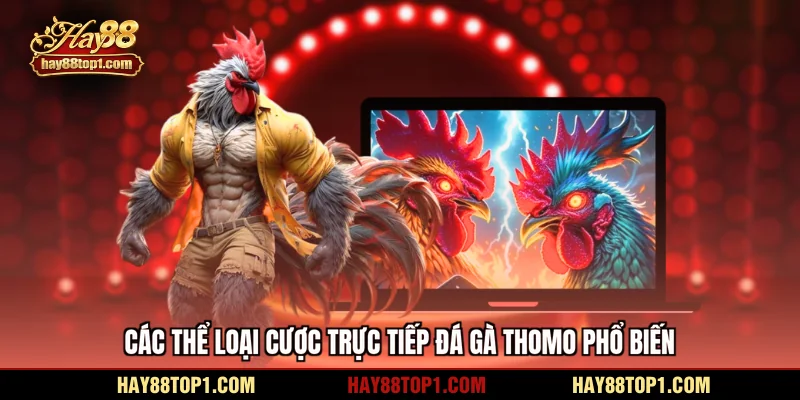 Các thể loại cược trực tiếp đá gà Thomo phổ biến