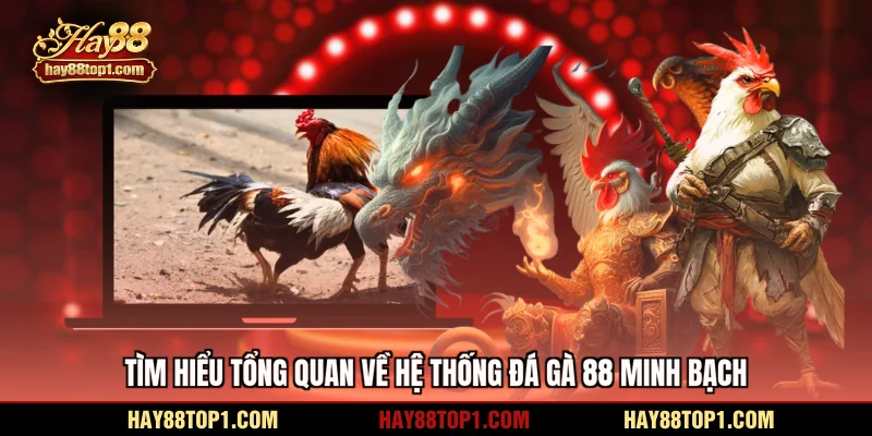 Tìm hiểu tổng quan về hệ thống đá gà 88 minh bạch