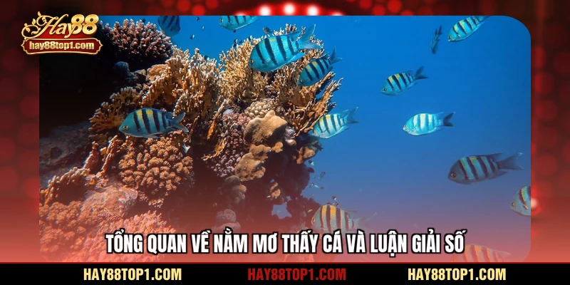 Tổng quan về nằm mơ thấy cá và luận giải số